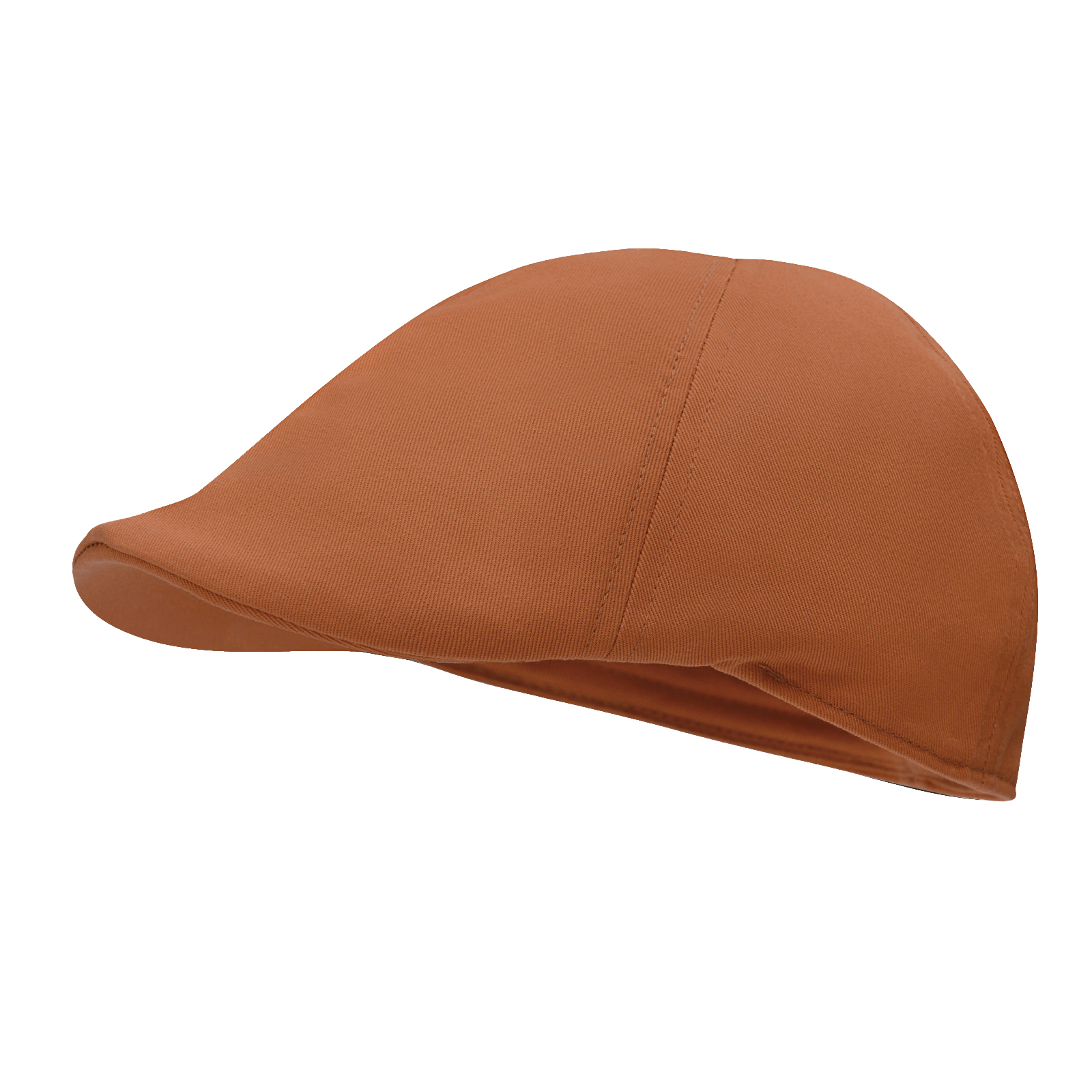 STARANCE Men's Classic Cotton  - Newsboy Cap Ivy 리뷰 및 가격